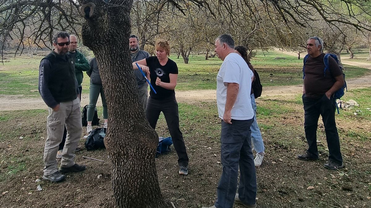 Archeologové stromů z Česka pomohou s výzkumem staletých pistácií v izraelské Negevské poušti
